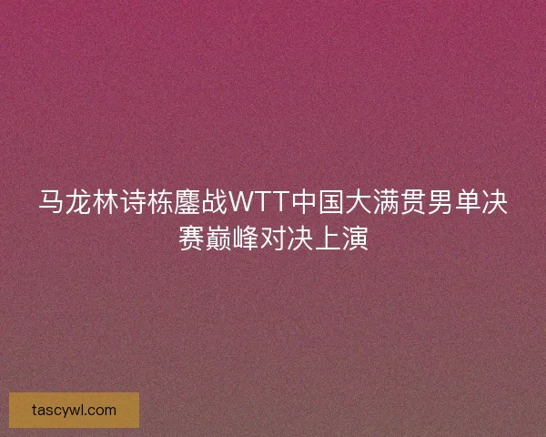 马龙林诗栋鏖战WTT中国大满贯男单决赛巅峰对决上演