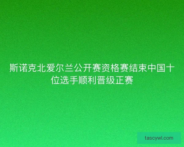 斯诺克北爱尔兰公开赛资格赛结束中国十位选手顺利晋级正赛