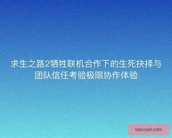 求生之路2牺牲联机合作下的生死抉择与团队信任考验极限协作体验 求生之路2牺牲联机合作下的生死抉择与团队信任考验极限协作体验