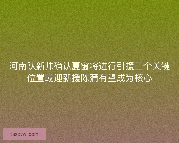 河南队新帅确认夏窗将进行引援三个关键位置或迎新援陈蒲有望成为核心 河南队新帅确认夏窗将进行引援三个关键位置或迎新援陈蒲有望成为核心
