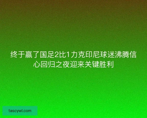 终于赢了国足2比1力克印尼球迷沸腾信心回归之夜迎来关键胜利 终于赢了国足2比1力克印尼球迷沸腾信心回归之夜迎来关键胜利
