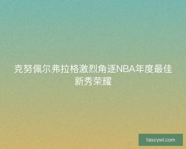 克努佩尔弗拉格激烈角逐NBA年度最佳新秀荣耀