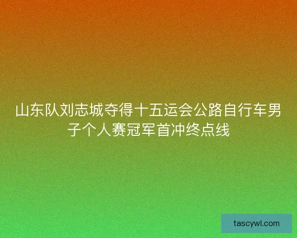 山东队刘志城夺得十五运会公路自行车男子个人赛冠军首冲终点线
